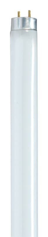Fluorescent Bulb F32T8/841 48in